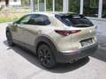 Mazda CX-30 G140 Nagisa Braun - thumbnail 11