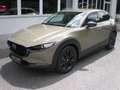 Mazda CX-30 G140 Nagisa Braun - thumbnail 19