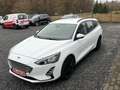 Ford Focus Klima-AHK-Unfallfrei-Garantie Weiß - thumbnail 6