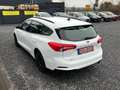 Ford Focus Klima-AHK-Unfallfrei-Garantie Weiß - thumbnail 5