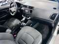 Kia Rio Rio III 2011 5p 1.1 crdi EX Grigio - thumbnail 10