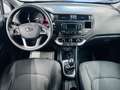 Kia Rio Rio III 2011 5p 1.1 crdi EX Grigio - thumbnail 15