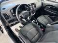 Kia Rio Rio III 2011 5p 1.1 crdi EX Grigio - thumbnail 11