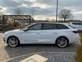 CUPRA Leon SP 1.5eTSI DSG+MatrixLED +ACC+Sitzhzg Weiß - thumbnail 5