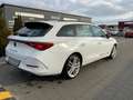 CUPRA Leon SP 1.5eTSI DSG+MatrixLED +ACC+Sitzhzg Weiß - thumbnail 9