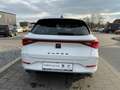 CUPRA Leon SP 1.5eTSI DSG+MatrixLED +ACC+Sitzhzg Weiß - thumbnail 7