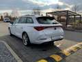 CUPRA Leon SP 1.5eTSI DSG+MatrixLED +ACC+Sitzhzg Weiß - thumbnail 6