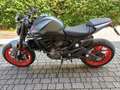 Ducati Monster 937 Plus Aviator Grey Grigio - thumbnail 2