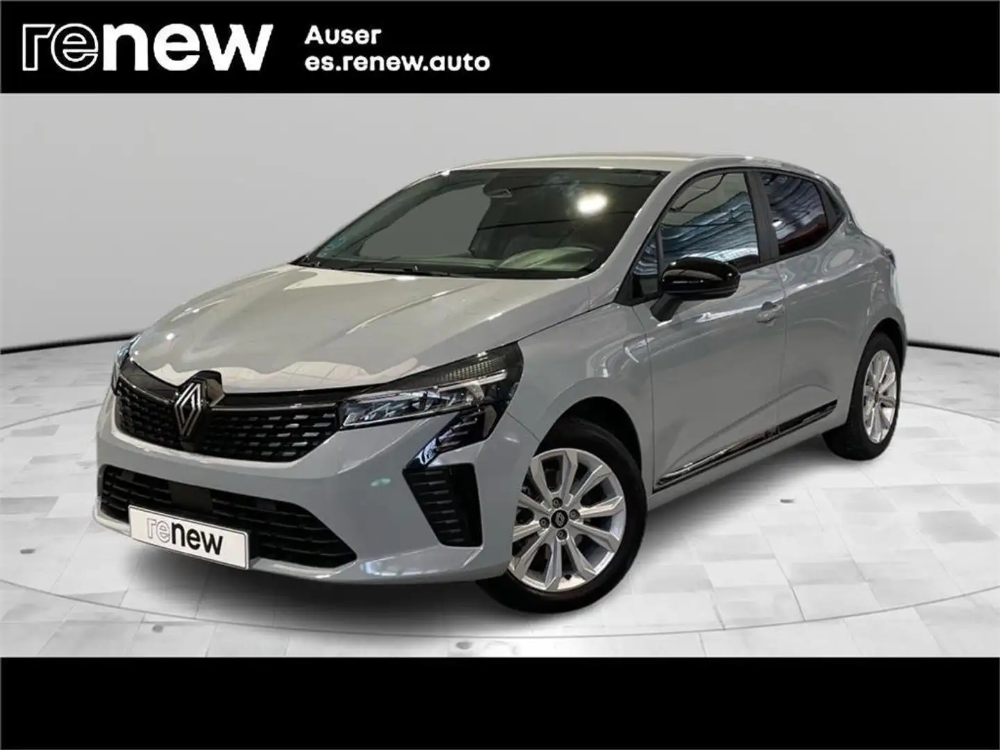 Renault Clio dCi Evolution 74kW Gris - 1