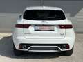 Jaguar E-Pace 2.0DI4 D180 R-Dynamic S AWD Aut. Weiß - thumbnail 2