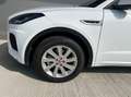Jaguar E-Pace 2.0DI4 D180 R-Dynamic S AWD Aut. Weiß - thumbnail 25