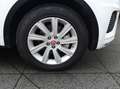 Jaguar E-Pace 2.0DI4 D180 R-Dynamic S AWD Aut. Wit - thumbnail 12