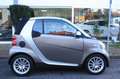 smart forTwo fortwo cabrio Micro Hybrid Drive 52 kW Grau - thumbnail 3