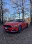 Ford Mustang Fastback 2.3 ecoboost 317cv - thumbnail 3