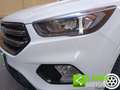 Ford Kuga 1.5 EcoBoost 120 CV S&S 2WD ST-Line Bianco - thumbnail 12