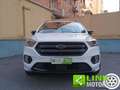 Ford Kuga 1.5 EcoBoost 120 CV S&S 2WD ST-Line Bianco - thumbnail 6