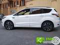 Ford Kuga 1.5 EcoBoost 120 CV S&S 2WD ST-Line Bianco - thumbnail 5