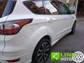 Ford Kuga 1.5 EcoBoost 120 CV S&S 2WD ST-Line Bianco - thumbnail 3