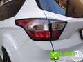 Ford Kuga 1.5 EcoBoost 120 CV S&S 2WD ST-Line Bianco - thumbnail 9