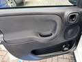 Fiat New Panda 1.0 FireFly S&S Hybrid PREZZO PROMO Bianco - thumbnail 7