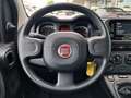 Fiat New Panda 1.0 FireFly S&S Hybrid PREZZO PROMO Bianco - thumbnail 10