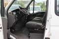Iveco PRITSCHE/PLANE Blanc - thumbnail 9