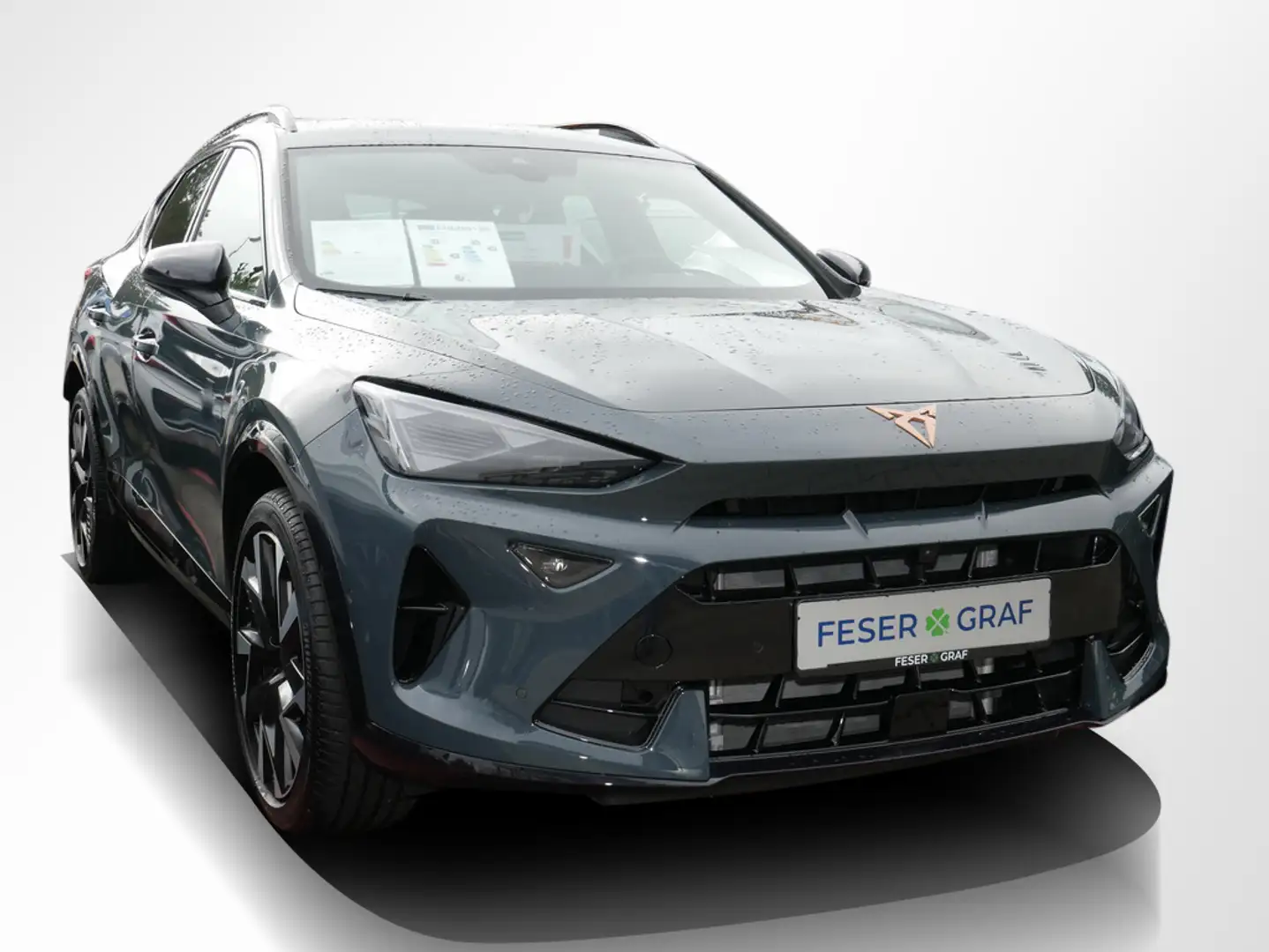 CUPRA Formentor 2.0 TSI VZ DSG 360° AHK Navi Sitzh. Blau - 2