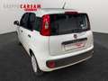 Fiat Panda Panda 1.2 EasyPower Easy Bianco - thumbnail 5