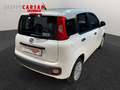 Fiat Panda Panda 1.2 EasyPower Easy Bianco - thumbnail 4