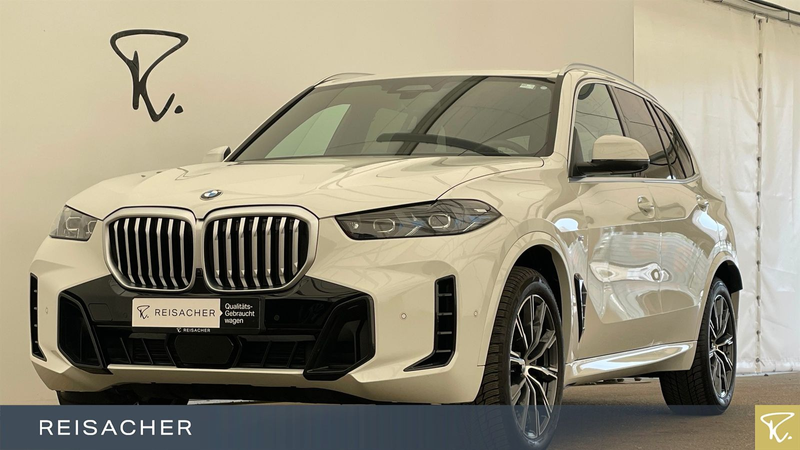 BMW X5 xDrive30d A M-Sport AHK LCPro ACC STH H&K 20"
