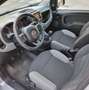 Fiat Panda Panda 1.0 firefly hybrid STREET VAN Grigio - thumbnail 9