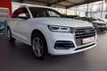 Audi Q5 40 TDI quattro S tronicNaviMATRIX,Pano,S-Line Weiß - thumbnail 3