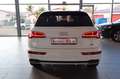 Audi Q5 40 TDI quattro S tronicNaviMATRIX,Pano,S-Line Weiß - thumbnail 6