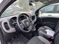 Fiat New Panda 1.0 FireFly Hybrid City Life Gris - thumbnail 10
