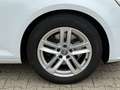 Audi A4 Avant 2.0 TDI S tronic design ACC HUD AHK Wit - thumbnail 14