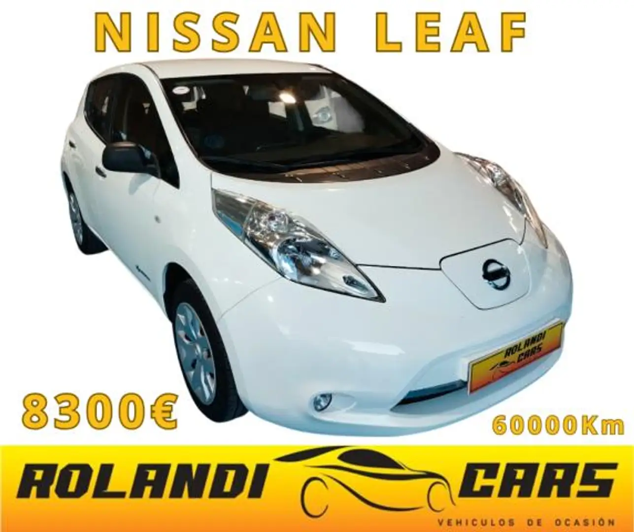 Nissan Leaf FLEX Visia - 1