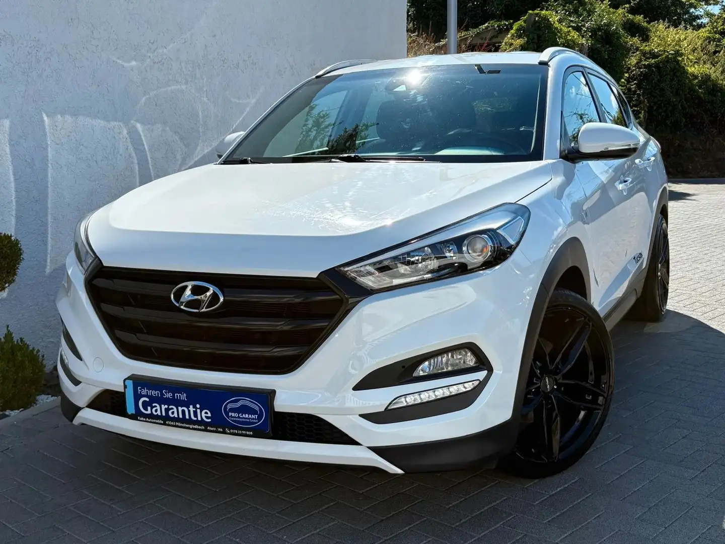 Hyundai TUCSON blue Intro Edition 2WD/Kamera/Gepflegt- Weiß - 1