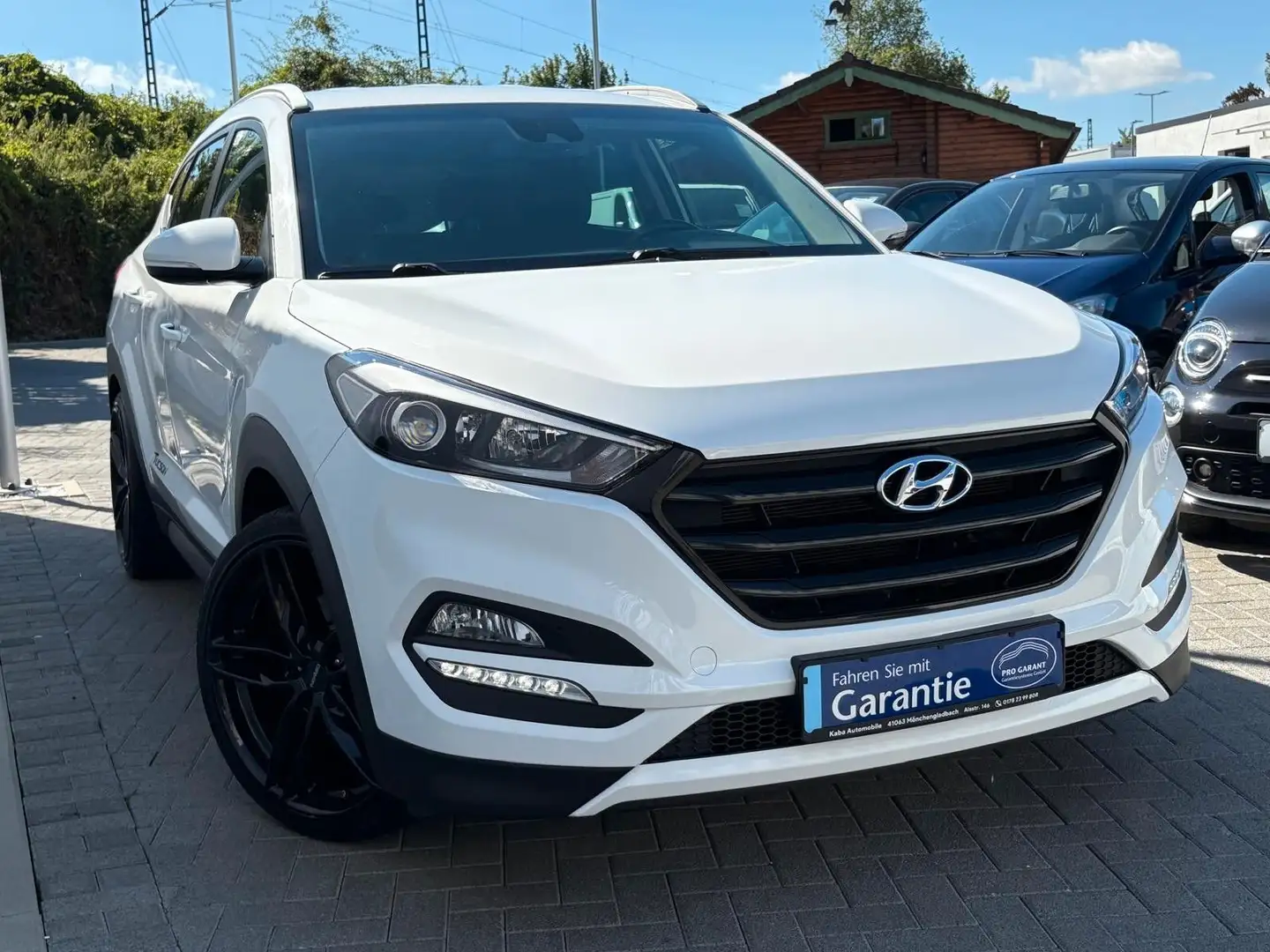 Hyundai TUCSON blue Intro Edition 2WD/Kamera/Gepflegt- Weiß - 2