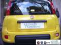 Fiat Panda 1.0 FireFly S&S Hybrid Pandina Urban Vettura Nuova Giallo - thumbnail 7