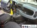 Fiat Panda 1.0 FireFly S&S Hybrid Pandina Urban Vettura Nuova Giallo - thumbnail 13