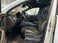 Audi SQ7 4.0 TDI Pano/AHK/Bose/Matrix/Luft/7Sitze Weiß - thumbnail 9