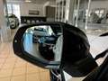 Audi SQ7 4.0 TDI Pano/AHK/Bose/Matrix/Luft/7Sitze Weiß - thumbnail 22