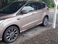 Ford Kuga Kuga 1.5 EcoBoost 2x4 Vignale Beige - thumbnail 3
