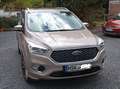 Ford Kuga Kuga 1.5 EcoBoost 2x4 Vignale Beige - thumbnail 14