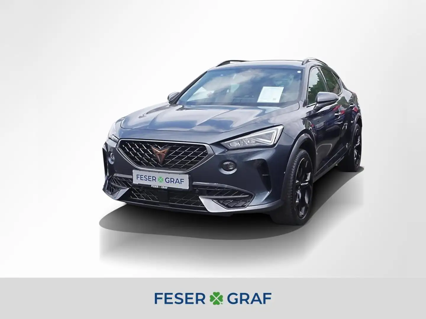 CUPRA Formentor VZ 2.0 TSI DSG Navi Kamera LED SiHz Gris - 1