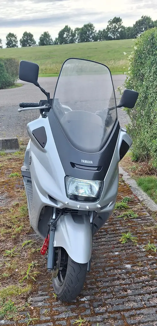 Yamaha Majesty 250 Argintiu - 2