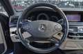 Mercedes-Benz S 250 CDI BlueEFFICIENCY Grau - thumbnail 18