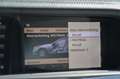 Mercedes-Benz S 250 CDI BlueEFFICIENCY Grau - thumbnail 26