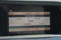 Mercedes-Benz S 250 CDI BlueEFFICIENCY Grau - thumbnail 23