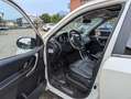 Mahindra XUV500 XUV500 2.2 16v W10 fwd Bianco - thumbnail 8